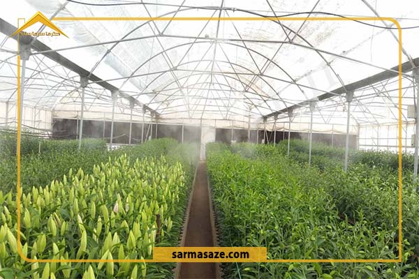 نمایی از نگهداری مه پاش در گلخانه