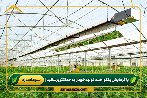 نمایی از گرمایش تابشی در گلخانه